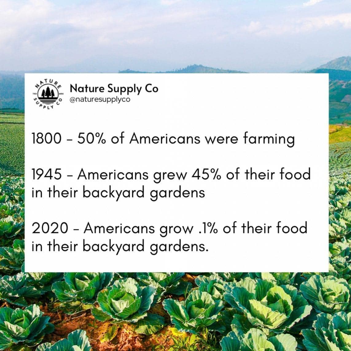 The meme is a humorous timeline of the history of American agriculture, presented in a tongue-in-cheek style. It starts with "1800 - 50% of Americans were farmers" and progresses to "1945 - Americans grew 45% of their food in their backyard gardens" and finally ends with "2020 - Americans grew 0.1% of their food in their backyard gardens". The text is presented in a bold, modern font with a slight sense of irony and humor.